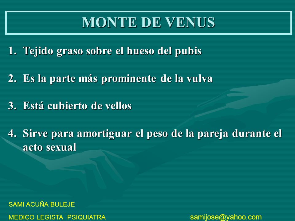 MONTE DE VENUS Tejido graso sobre el hueso del pubis