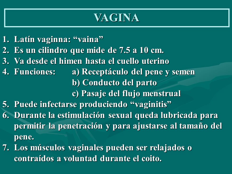 VAGINA Latín vaginna: vaina Es un cilindro que mide de 7.5 a 10 cm.