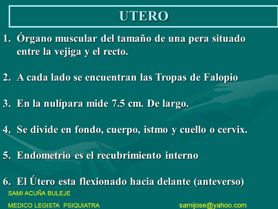 UTERO Órgano muscular del tamaño de una pera situado entre la vejiga y el recto. A cada lado se encuentran las Tropas de Falopio.