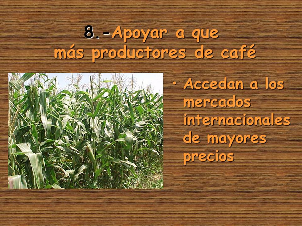 8.-Apoyar a que más productores de café