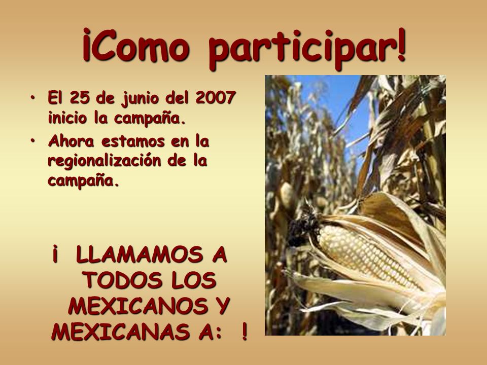 ¡ LLAMAMOS A TODOS LOS MEXICANOS Y MEXICANAS A: !