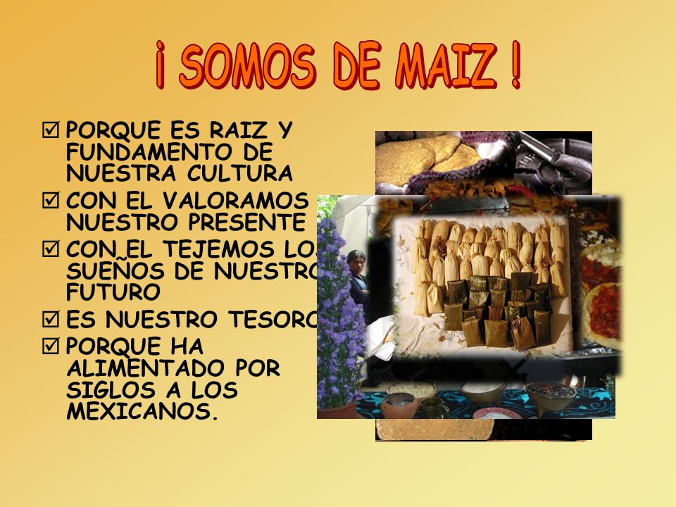 ¡ SOMOS DE MAIZ ! PORQUE ES RAIZ Y FUNDAMENTO DE NUESTRA CULTURA