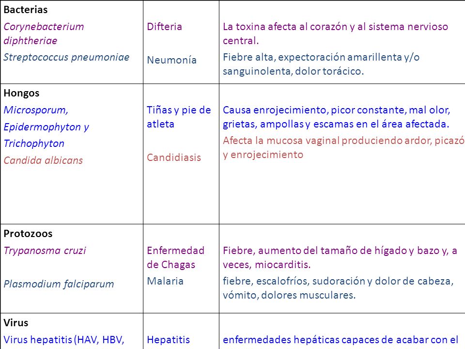 Bacterias Corynebacterium diphtheriae. Streptococcus pneumoniae. Difteria. Neumonía. La toxina afecta al corazón y al sistema nervioso central.