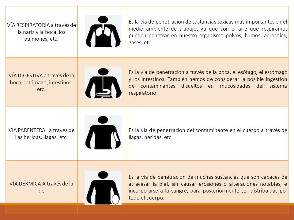 VÍA RESPIRATORIA a través de la nariz y la boca, los pulmones, etc.