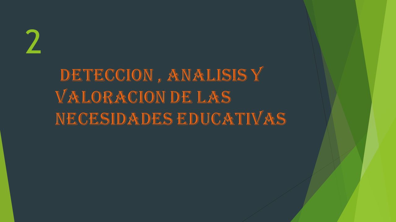 2 DETECCION , ANALISIS Y VALORACION DE LAS NECESIDADES EDUCATIVAS