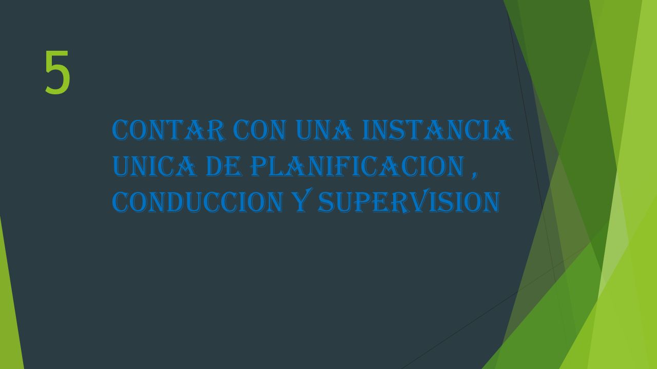 5 CONTAR CON UNA INSTANCIA UNICA DE PLANIFICACION , CONDUCCION Y SUPERVISION