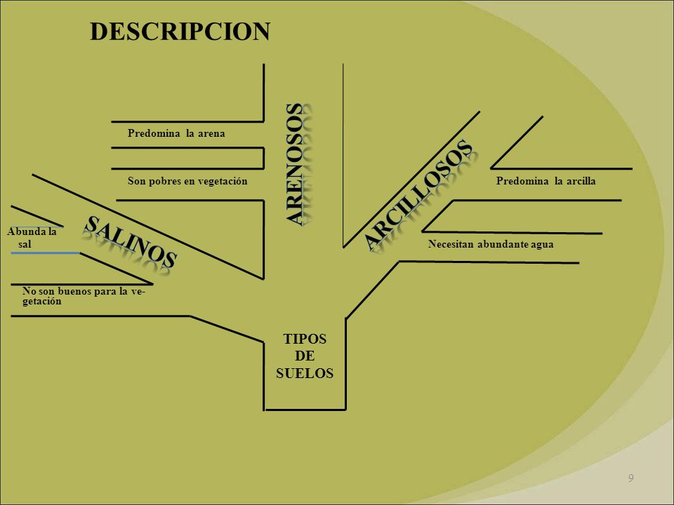 DESCRIPCION ARENOSOS ARCILLOSOS SALINOS TIPOS DE SUELOS
