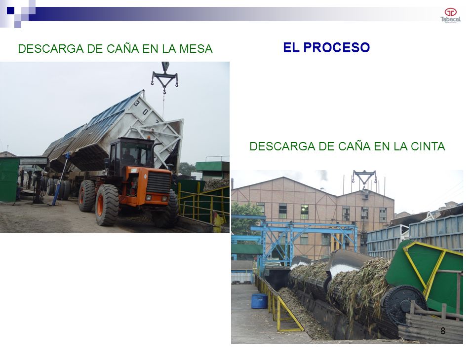 EL PROCESO DESCARGA DE CAÑA EN LA MESA DESCARGA DE CAÑA EN LA CINTA 8