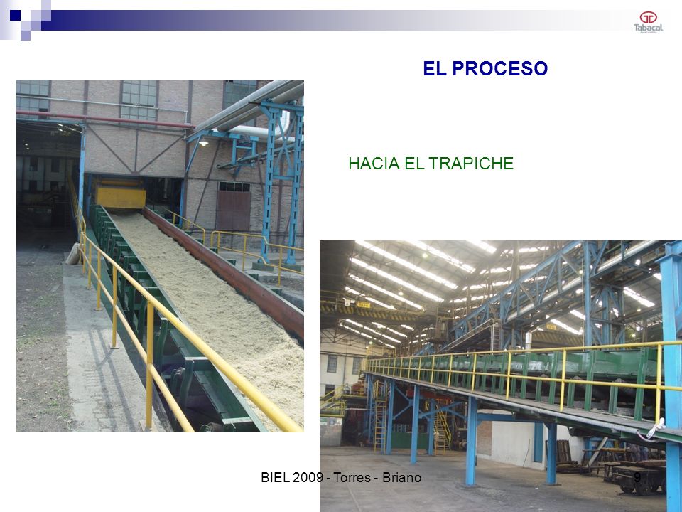 EL PROCESO HACIA EL TRAPICHE BIEL Torres - Briano 9