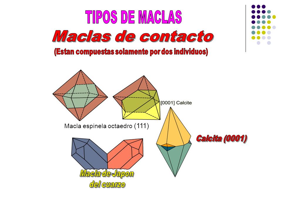 (Estan compuestas solamente por dos individuos)