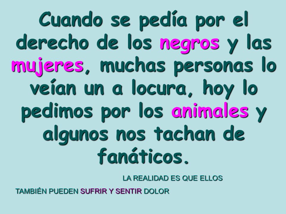 Cuando se pedía por el derecho de los negros y las mujeres, muchas personas lo veían un a locura, hoy lo pedimos por los animales y algunos nos tachan de fanáticos.