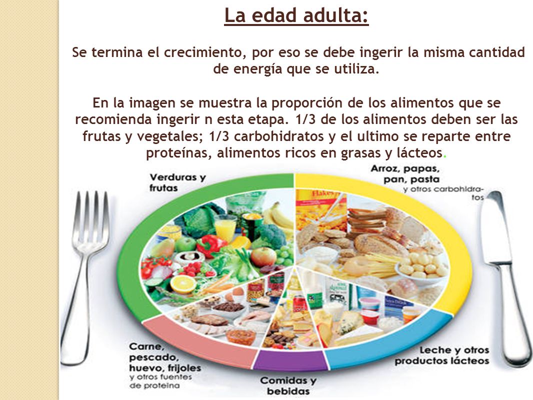 La edad adulta: Se termina el crecimiento, por eso se debe ingerir la misma cantidad de energía que se utiliza.