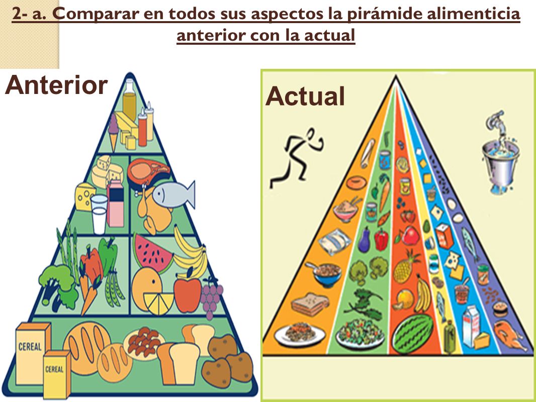 2- a. Comparar en todos sus aspectos la pirámide alimenticia anterior con la actual