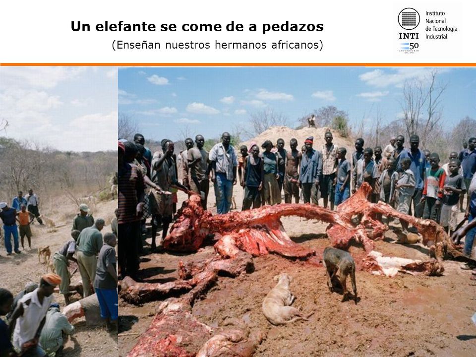 Un elefante se come de a pedazos