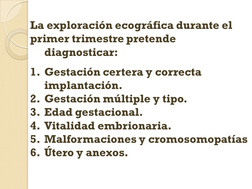 La exploración ecográfica durante el
