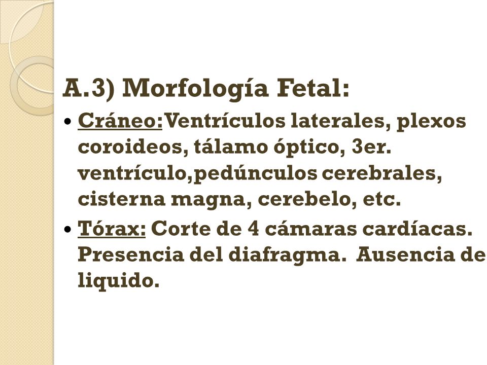 A.3) Morfología Fetal: