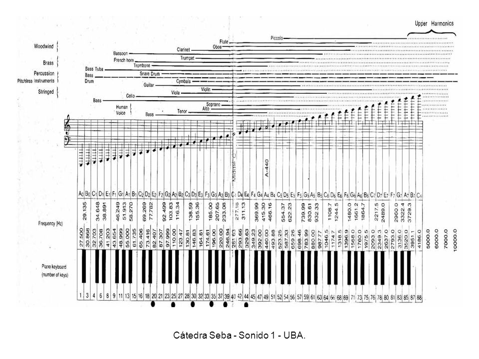 Cátedra Seba - Sonido 1 - UBA.