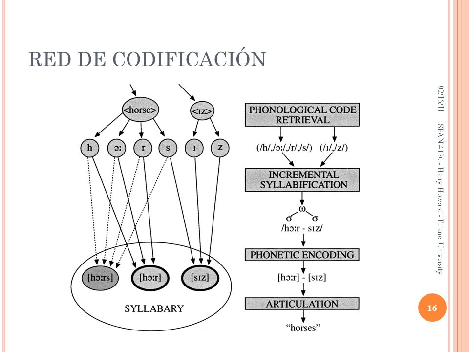 RED DE CODIFICACIÓN 02/16/11. SPAN Harry Howard - Tulane University.