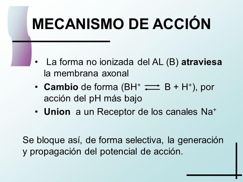 MECANISMO DE ACCIÓN La forma no ionizada del AL (B) atraviesa la membrana axonal. Cambio de forma (BH+ B + H+), por acción del pH más bajo.