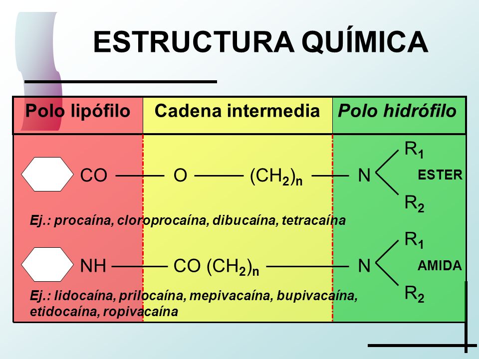 ESTRUCTURA QUÍMICA R1 N R2 CO (CH2)n NH O (CH2)n Polo hidrófilo