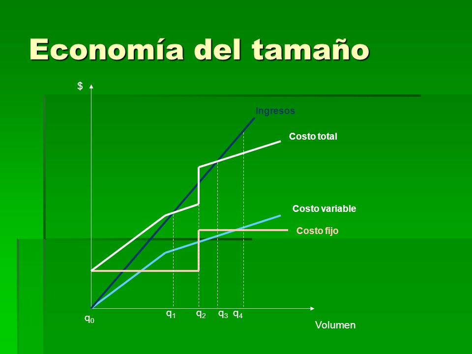 Economía del tamaño $ q1 q2 q3 q4 q0 Volumen Ingresos Costo total