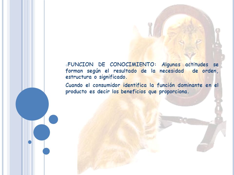 FUNCION DE CONOCIMIENTO: Algunas actitudes se forman según el resultado de la necesidad de orden, estructura o significado.