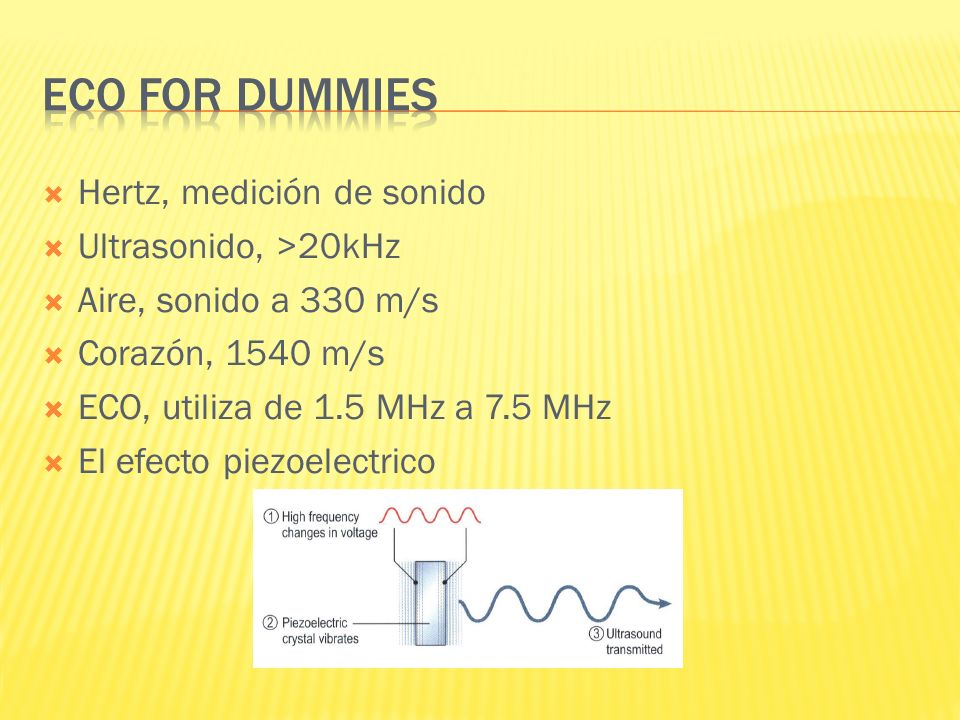 ECO for dummies Hertz, medición de sonido Ultrasonido, >20kHz