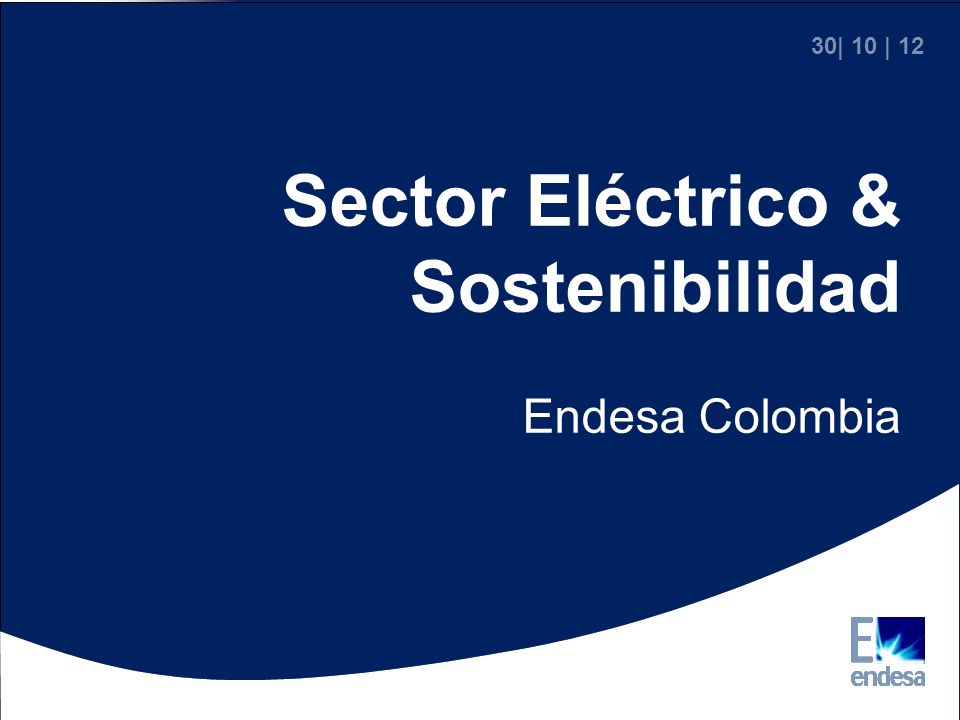 Sector Eléctrico & Sostenibilidad