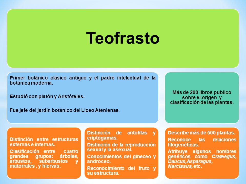 Teofrasto Primer botánico clásico antiguo y el padre intelectual de la botánica moderna. Estudió con platón y Aristóteles.