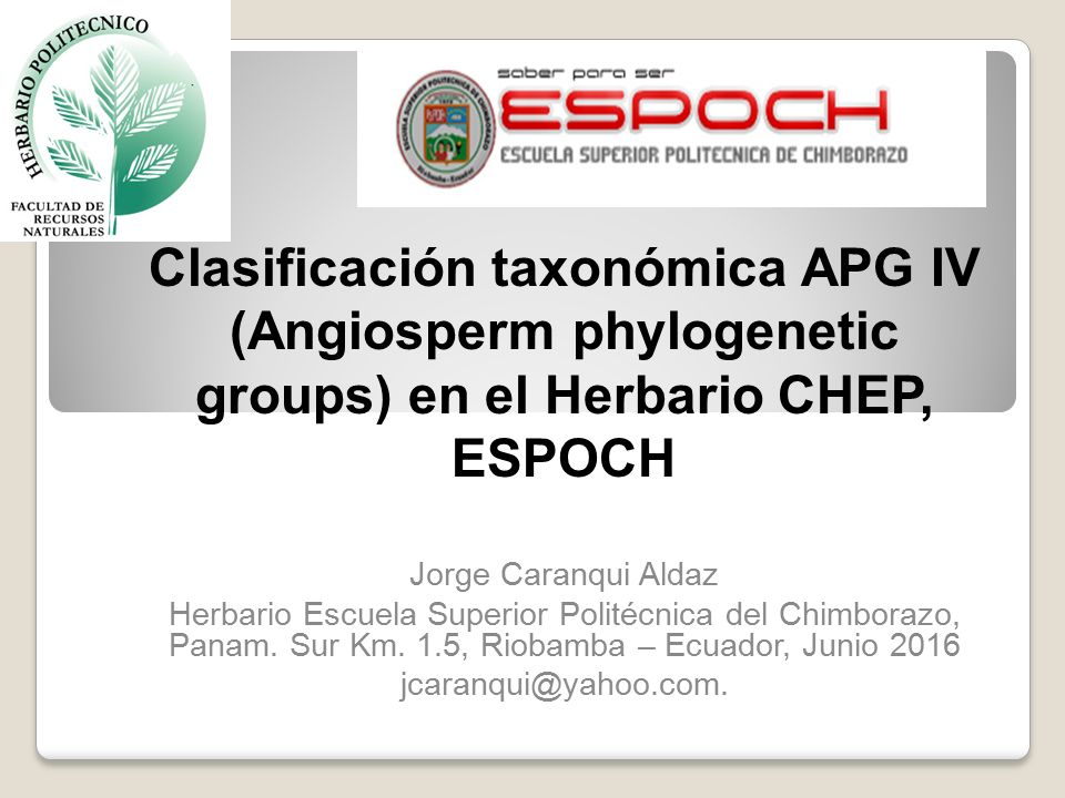 Clasificación taxonómica APG IV (Angiosperm phylogenetic groups) en el Herbario CHEP, ESPOCH