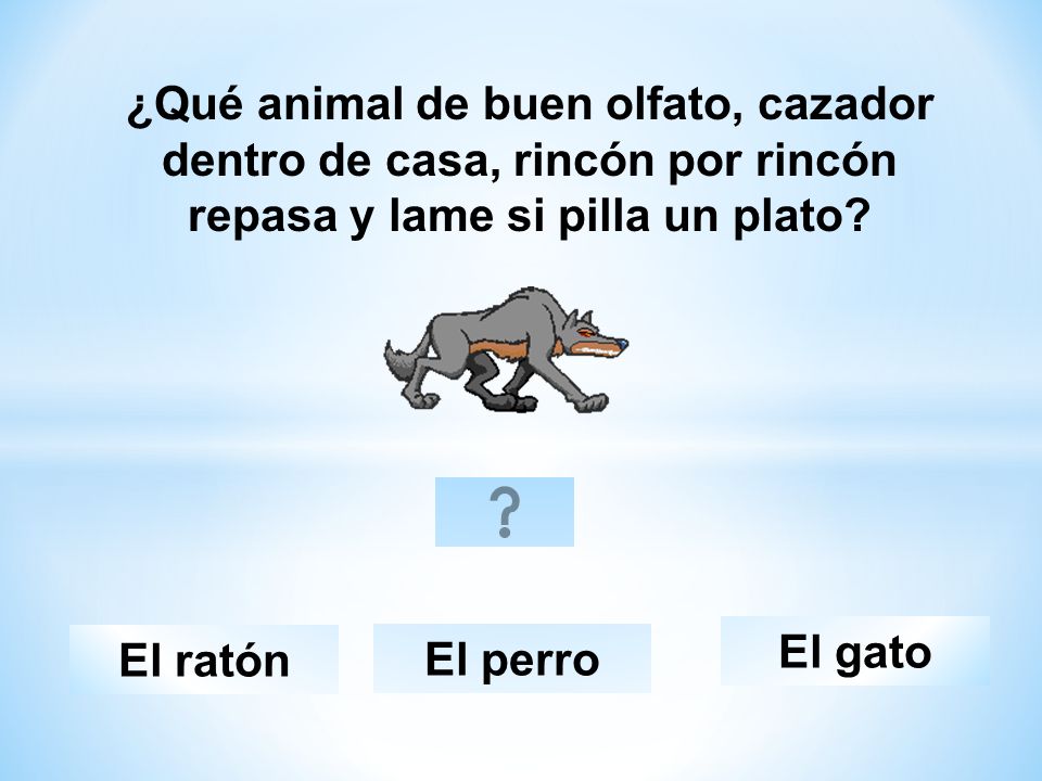 ¿Qué animal de buen olfato, cazador dentro de casa, rincón por rincón repasa y lame si pilla un plato
