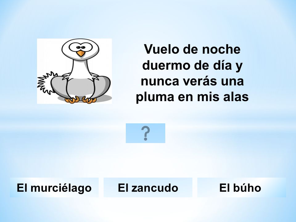 Vuelo de noche duermo de día y nunca verás una pluma en mis alas
