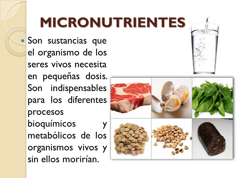 Micronutrientes Y Macronutrientes Ppt Descargar