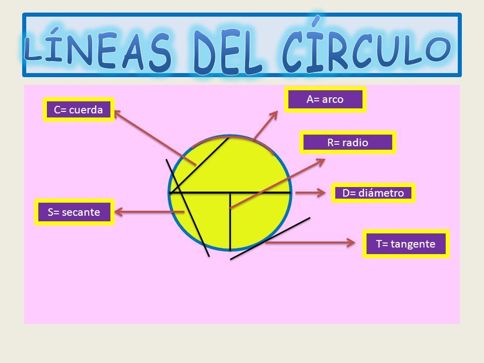 LÍNEAS DEL CÍRCULO A= arco C= cuerda R= radio D= diámetro S= secante
