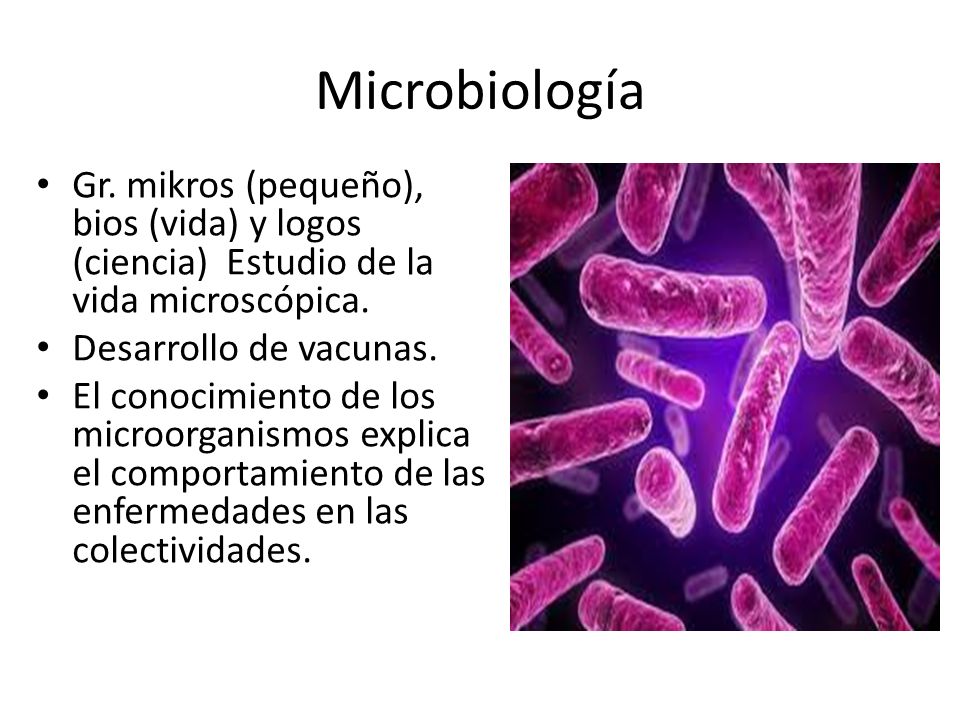 Microbiología Gr. mikros (pequeño), bios (vida) y logos (ciencia) Estudio de la vida microscópica.