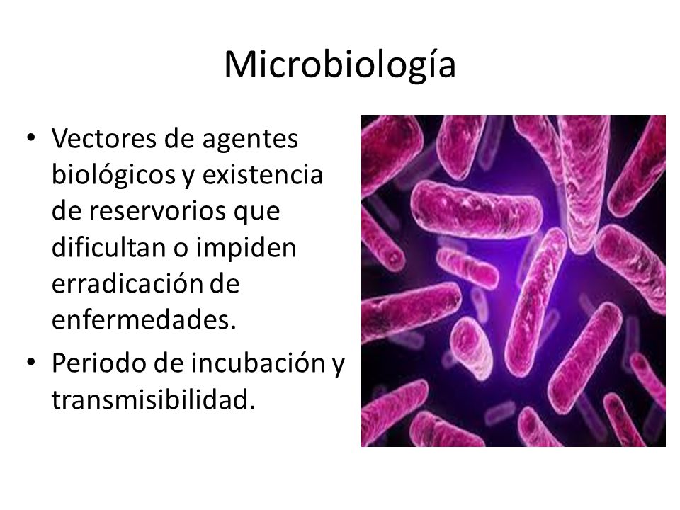 Microbiología Vectores de agentes biológicos y existencia de reservorios que dificultan o impiden erradicación de enfermedades.