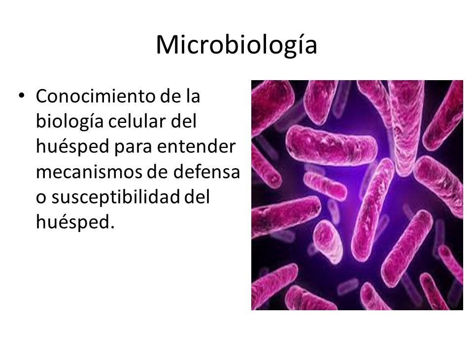 Microbiología Conocimiento de la biología celular del huésped para entender mecanismos de defensa o susceptibilidad del huésped.