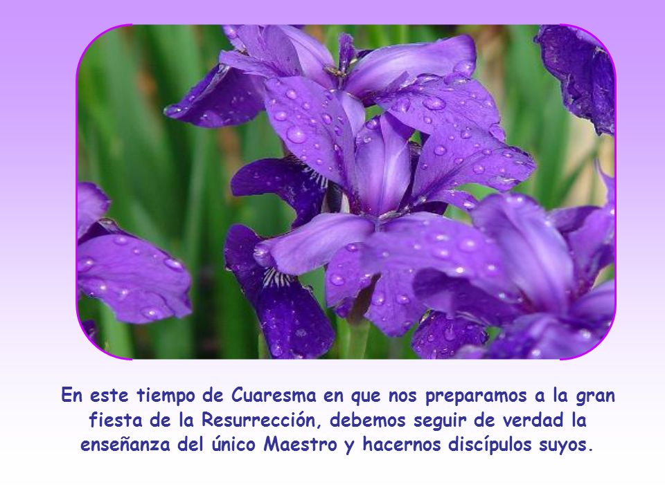 En este tiempo de Cuaresma en que nos preparamos a la gran fiesta de la Resurrección, debemos seguir de verdad la enseñanza del único Maestro y hacernos discípulos suyos.