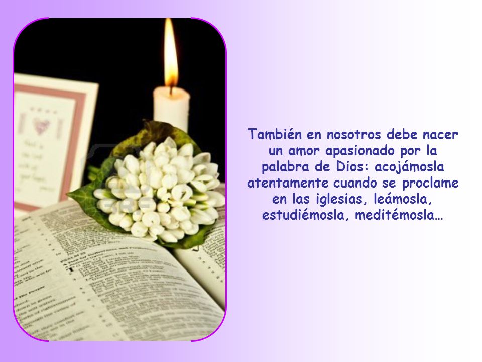 También en nosotros debe nacer un amor apasionado por la palabra de Dios: acojámosla atentamente cuando se proclame en las iglesias, leámosla, estudiémosla, meditémosla…