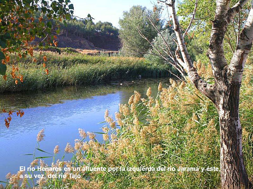 El río Henares es un afluente por la izquierda del río Jarama y éste, a su vez, del río Tajo