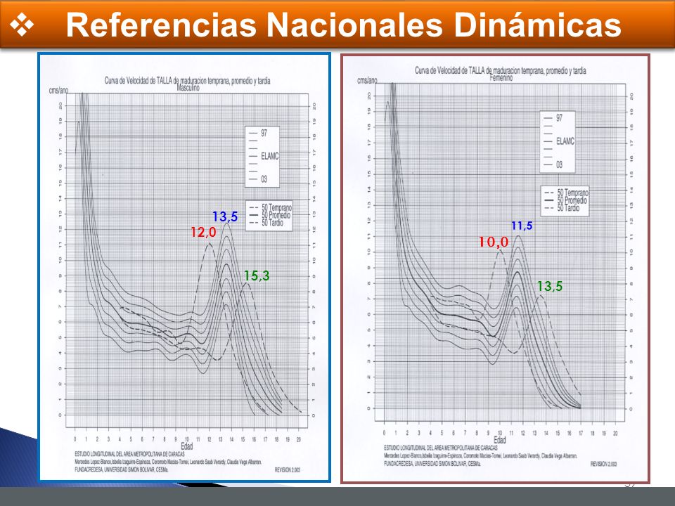 Referencias Nacionales Dinámicas