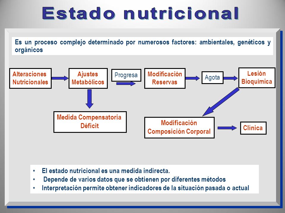 E s t a d o n u t r i c i o n a l Es un proceso complejo determinado por numerosos factores: ambientales, genéticos y orgánicos.