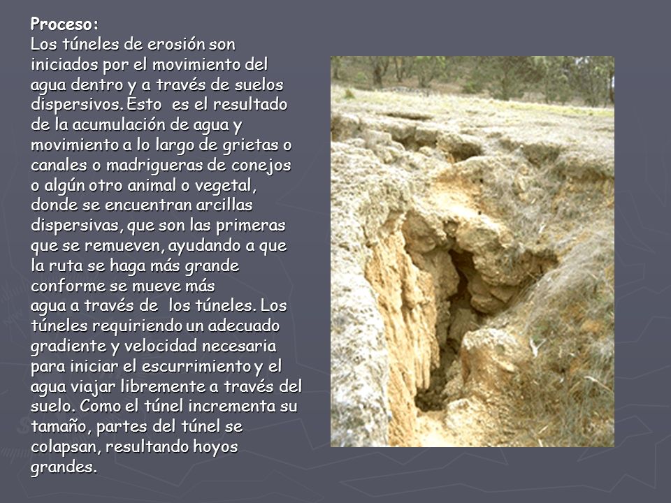 Proceso: Los túneles de erosión son. iniciados por el movimiento del. agua dentro y a través de suelos.