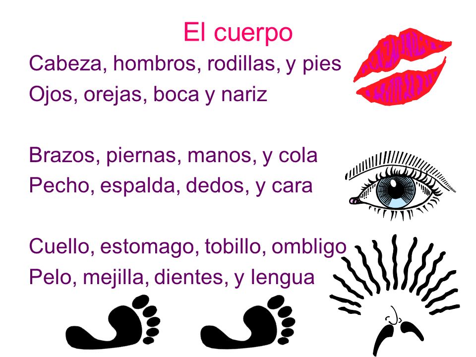 El cuerpo Cabeza, hombros, rodillas, y pies Ojos, orejas, boca y nariz
