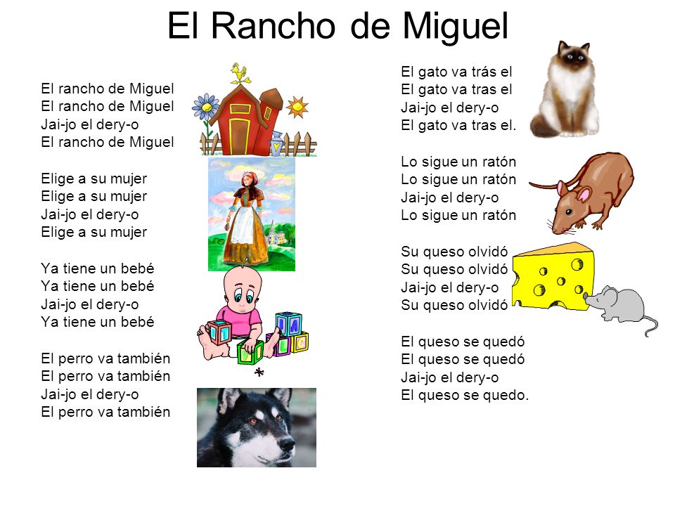 El Rancho de Miguel El gato va trás el El gato va tras el