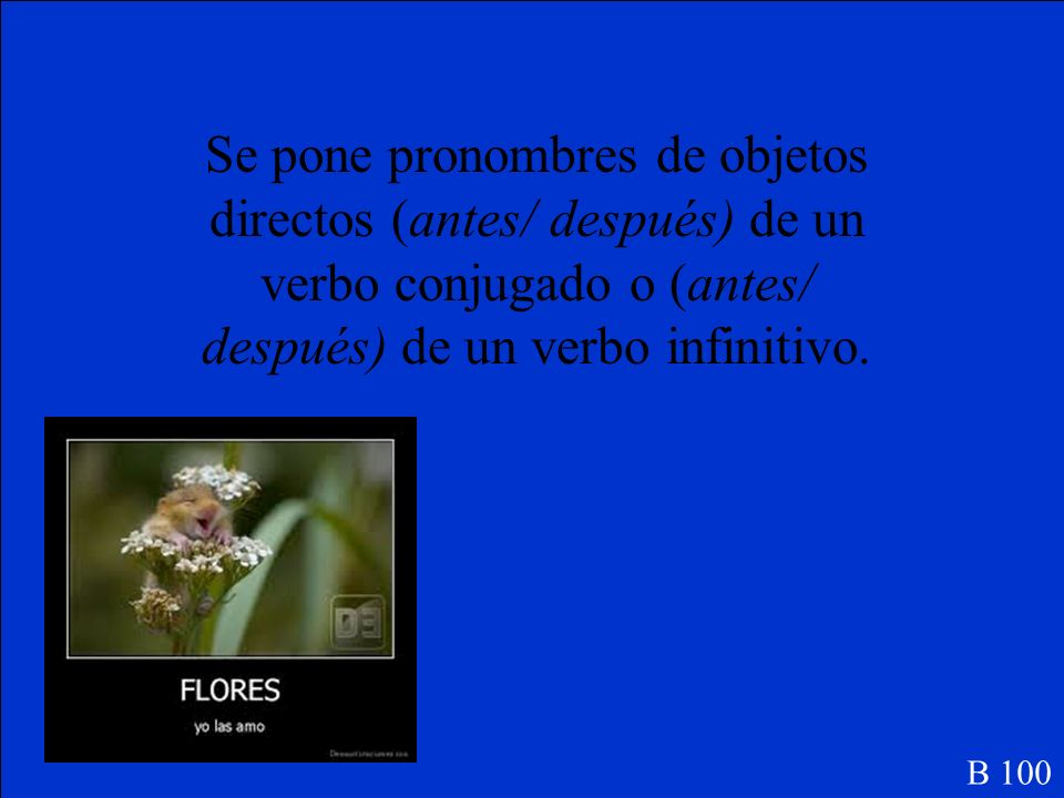Se pone pronombres de objetos directos (antes/ después) de un verbo conjugado o (antes/ después) de un verbo infinitivo.