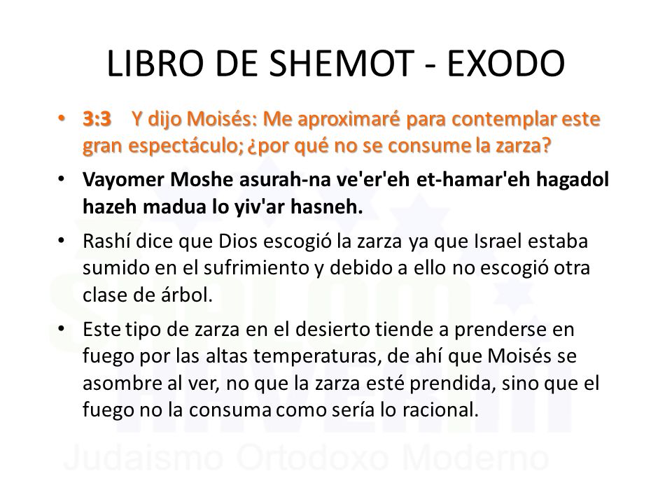 LIBRO DE SHEMOT - EXODO 3:3 Y dijo Moisés: Me aproximaré para contemplar este gran espectáculo; ¿por qué no se consume la zarza