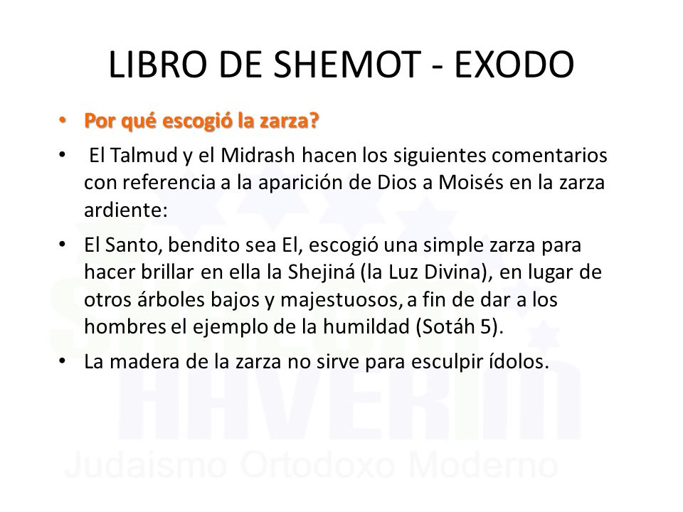 LIBRO DE SHEMOT - EXODO Por qué escogió la zarza
