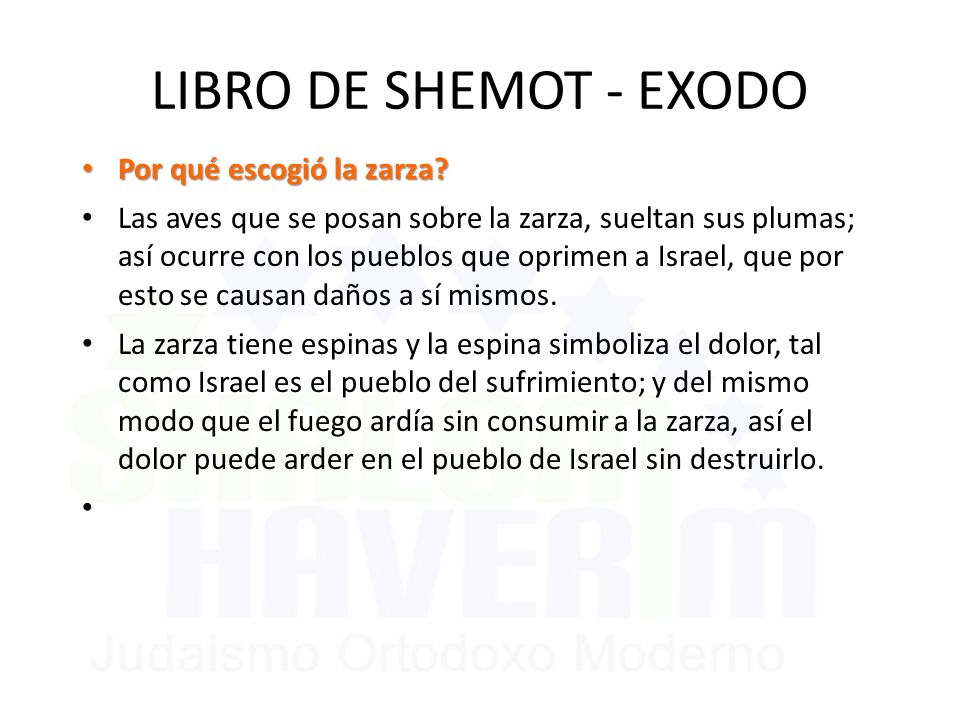 LIBRO DE SHEMOT - EXODO Por qué escogió la zarza