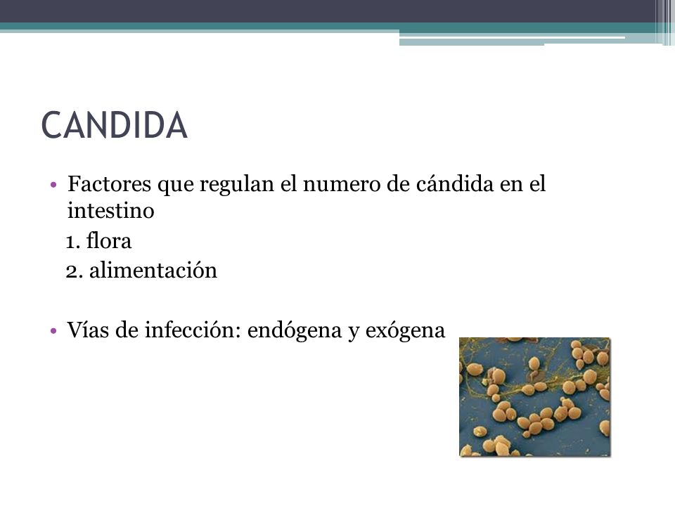 CANDIDA Factores que regulan el numero de cándida en el intestino